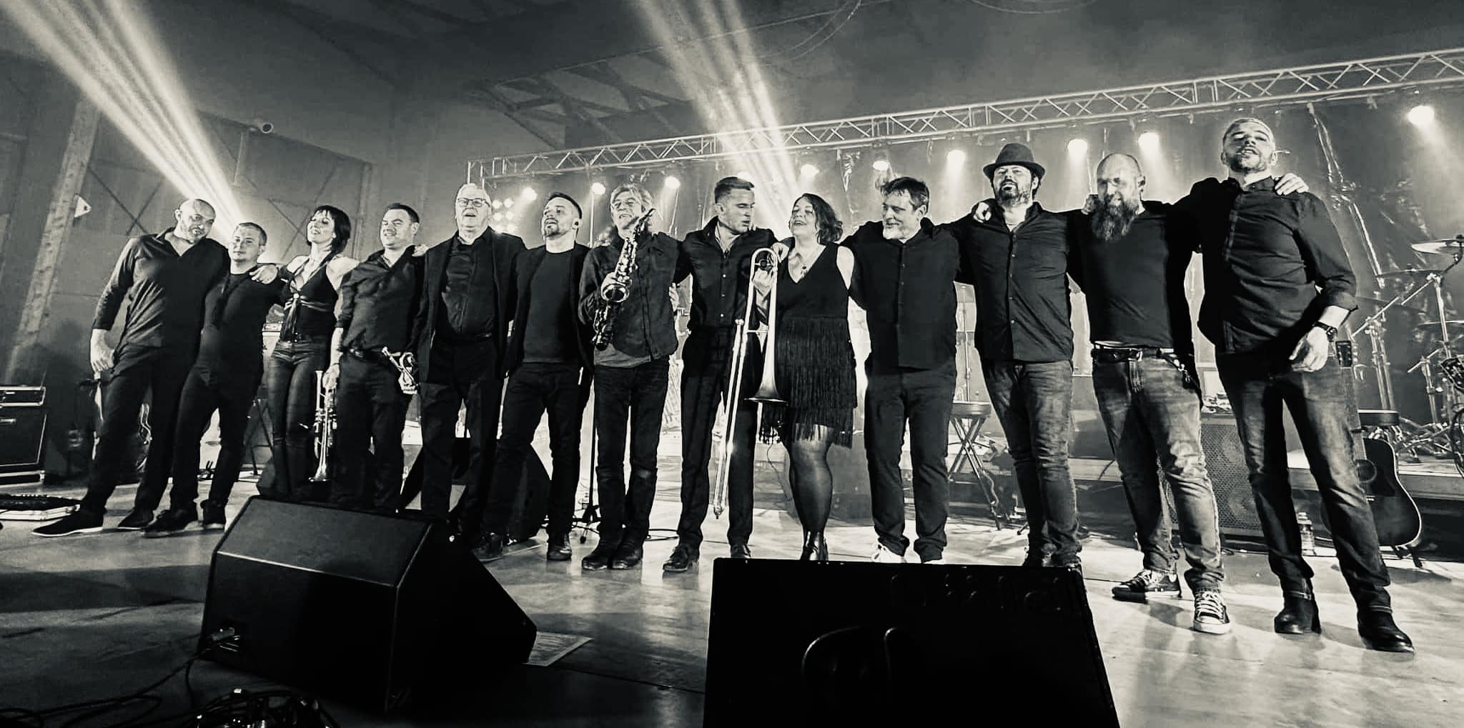 Sang pour 100 Johnny - Concert